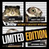 The Four Owls – All My Life